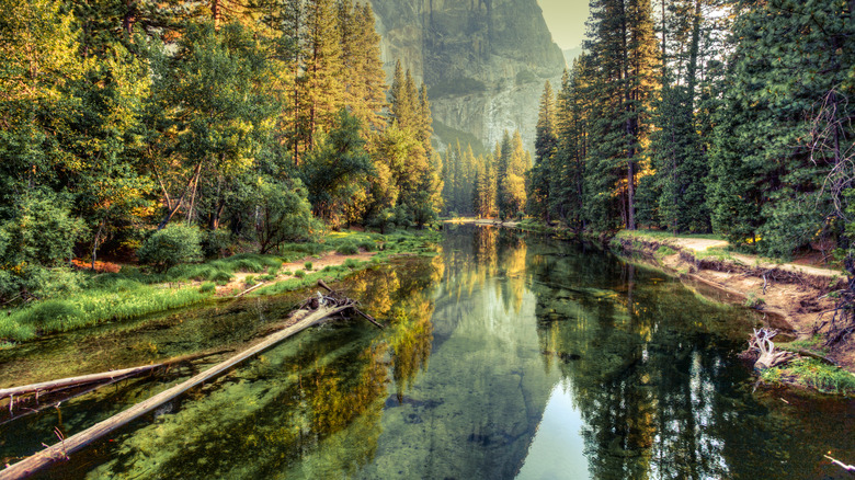 A river view in Yosemite Valley