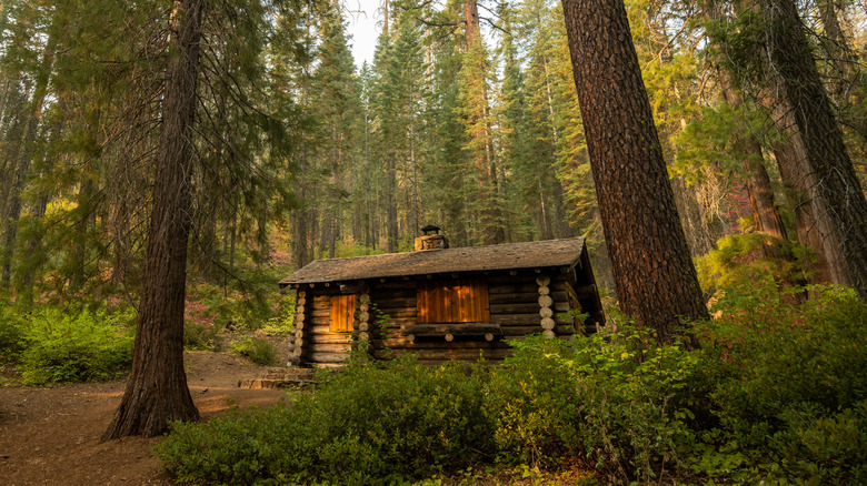 A small log cabin in the Merced Grove of the Crane Flat area, Yosemite National Park