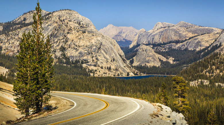 Sierra Nevada mountain scenery at Tioga Pass, Yosemite National Park
