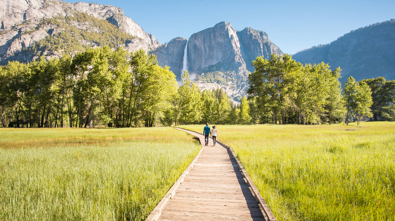 Sentinel Meadow boardwalk and view of Yosemite Falls from the Sentinel/Cook's Meadow Loop in Yosemite National Park