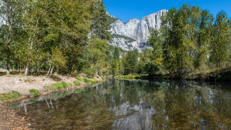 Half Dome at Yosemite National Park