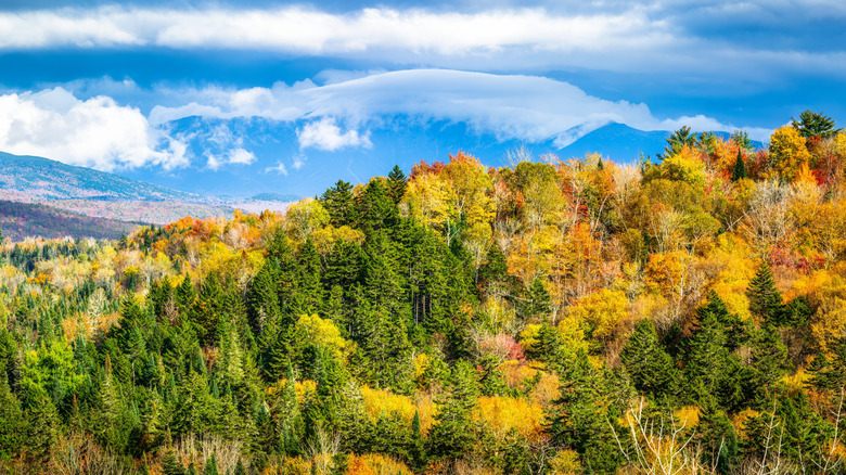 Views from fall foliage from Bethlehem main street