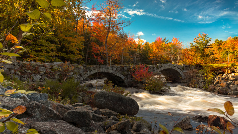 Twin arch bridge in Stoddard