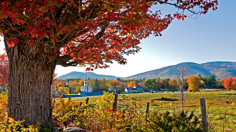 Tamworth Village in fall