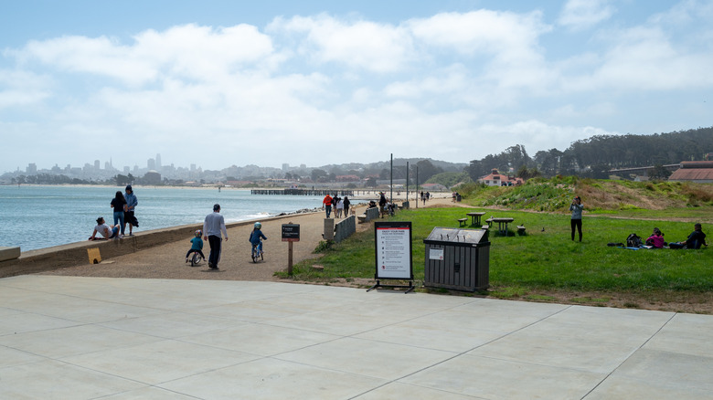 people biking and picnicking in park