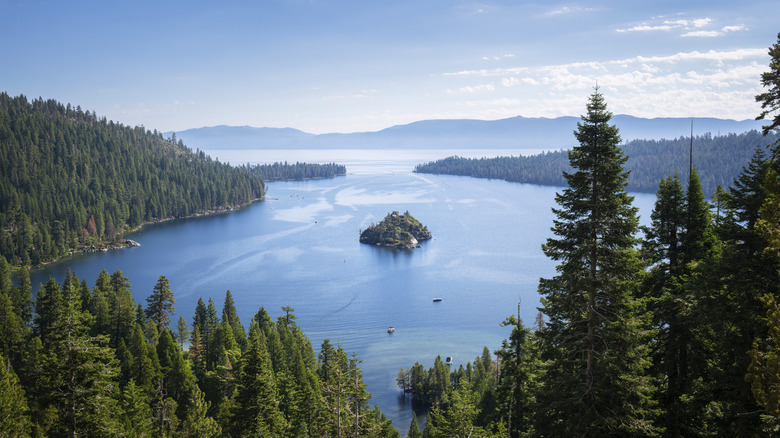 elevated view of lake with boats