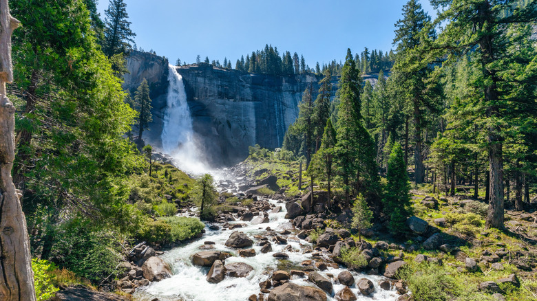 waterfall cascading into a lush forest