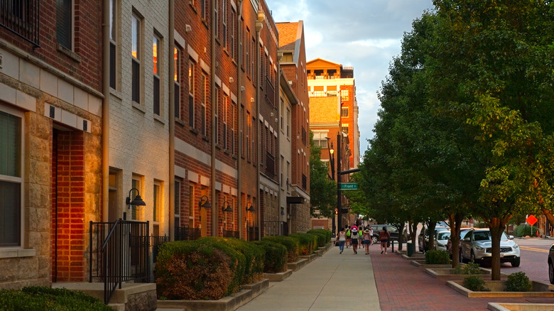 Tree-lined street in Columbus, Ohio