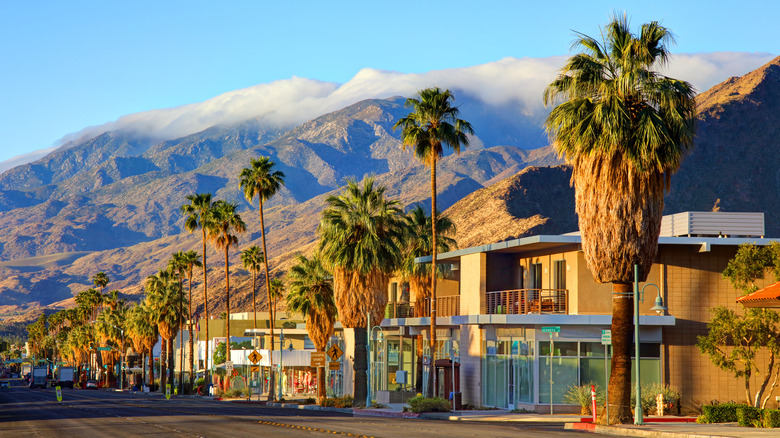 Palm trees, buildings, and mountains in Palm Springs