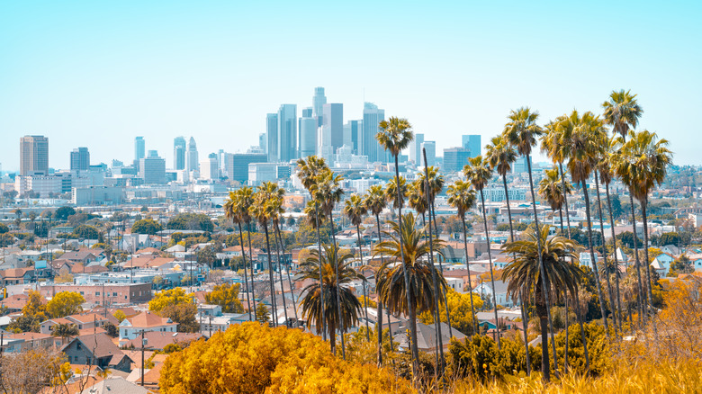 Los Angeles skyline with palm trees