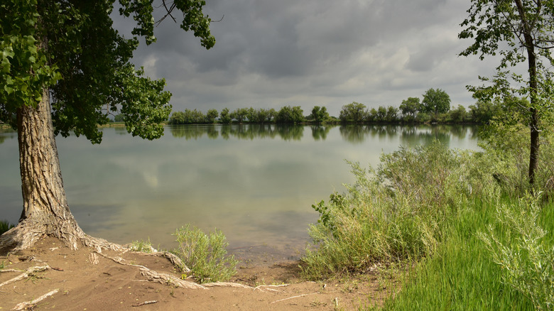 Stormy day at the lake in Crown Hill Park, Wheat Ridge, Colorado