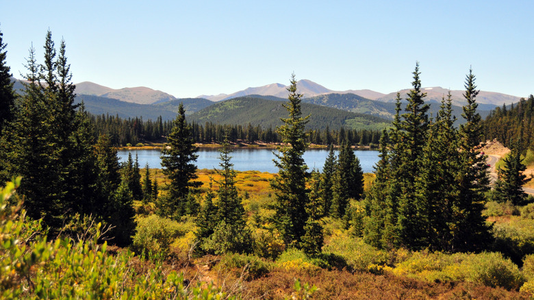 Blue mountain lake surrounded by trees, Echo Lake, near Denver