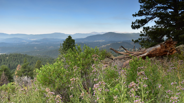 View from Genesee Mountain Park near Denver, Colorado