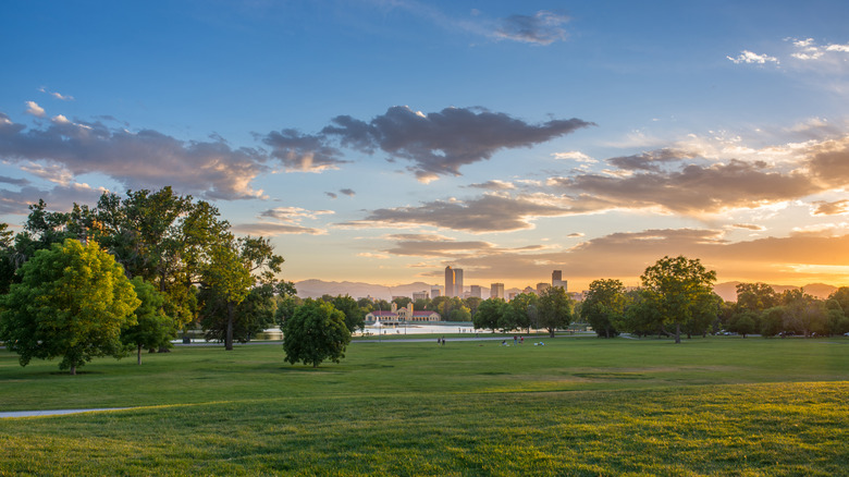 View of the Denver skyline from the grassy fields of Ruby Hill Park