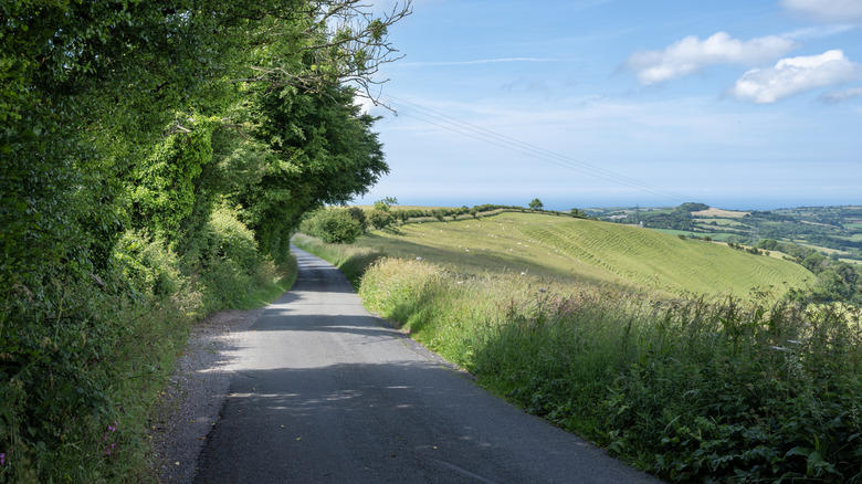 A single track road in Dorset, England