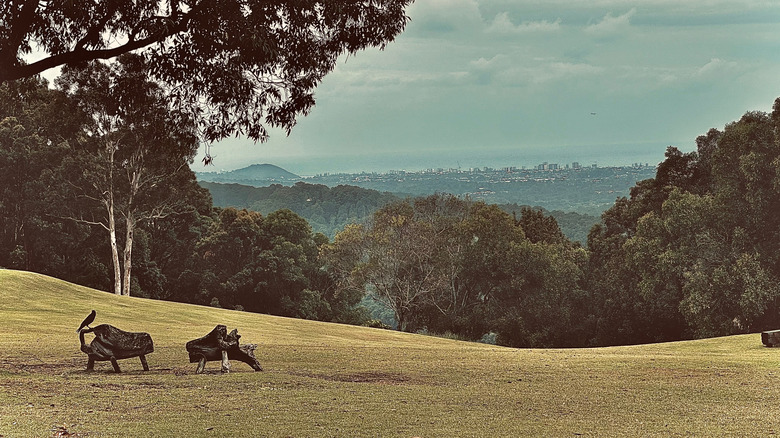 Sculptures and landscape view of the Gwinganna Lifestyle Retreat in Australia