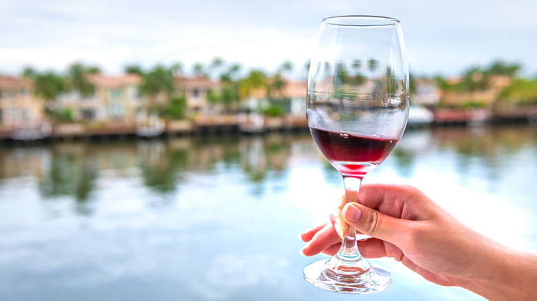 glass of red wine with water and plam trees in background