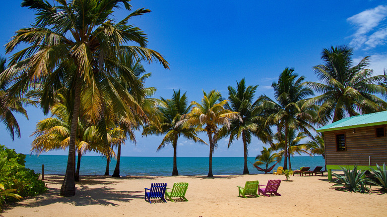 beach with palm trees in Hopkins, Belize