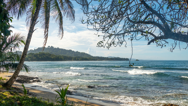 beach in Puerto Viejo de Talamanca