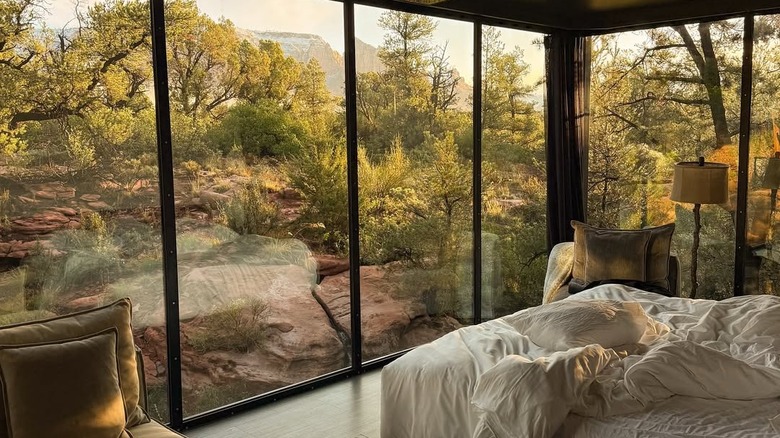 Floor to ceiling glass walls with plants outside at Ambiente