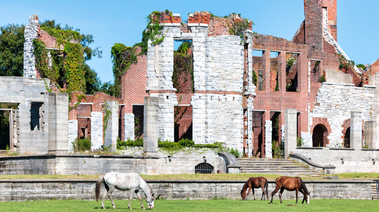Horses grazing in front of tumbledown ruins on Cumberland Island, Georgia