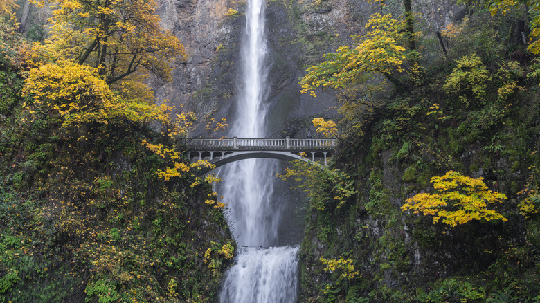 Arched steel bridge over dual waterfalls in Oregon during the autumn