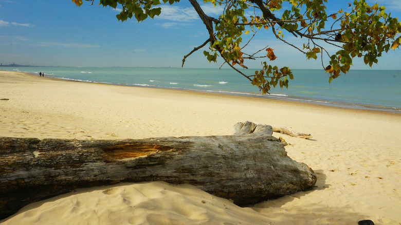 The Lake Michigan shoreline at Indiana Dunes National Park