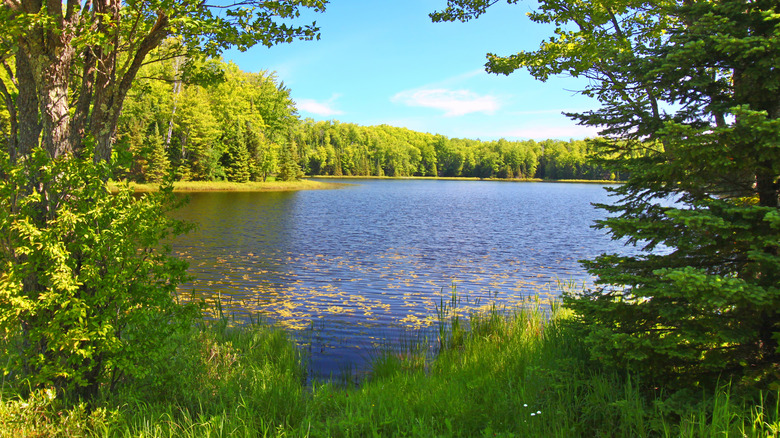 Forest trees frame a scenic view of Mabel Lake in the Northern Highland American Legion State Forest of Wisconsin