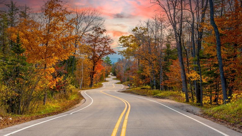 Curve road through an autumnal forest in Wisconsin