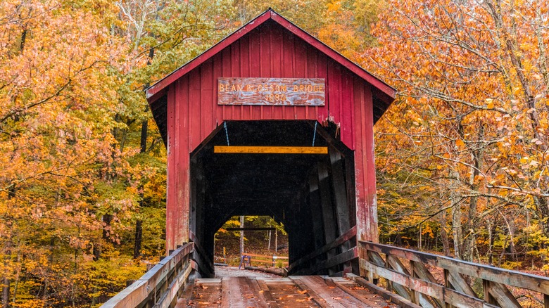 Red covered bridge surrounded by autumnal forest in Indiana