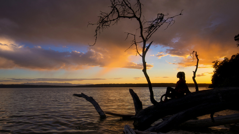 Sunset view from the shoreline Camano Island State Park, Camano, Washington