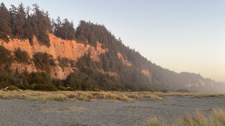 Long view of Gold Bluffs Beach in Prairie Creek Redwoods State Park