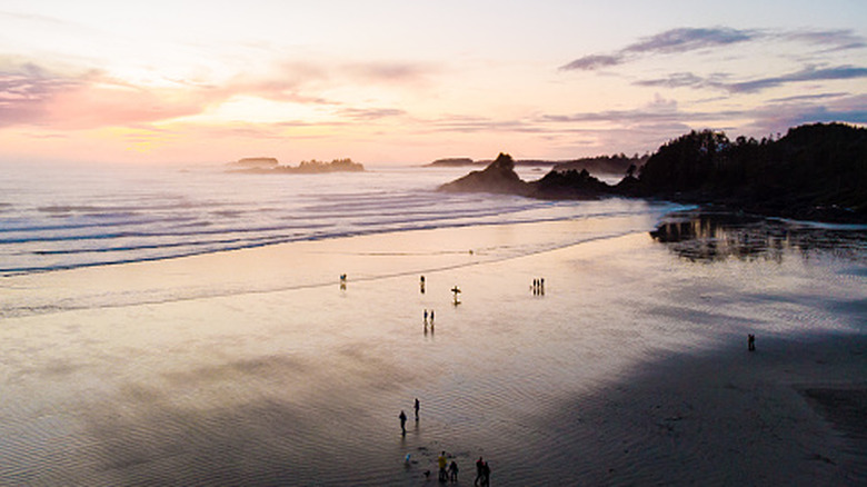 Sunset at long beach Tofino, Vancouver Island, British Columbia