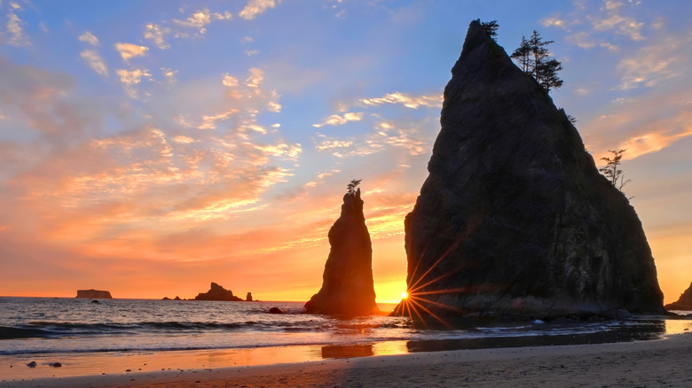 Coastline with sea stacks at sunset on the Olympic Peninsula near Port Angeles, Washington