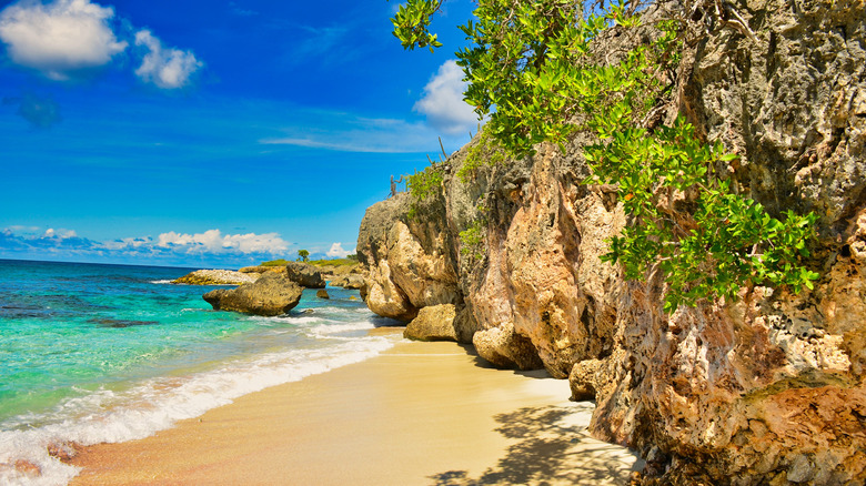 A quiet beach in Bonaire