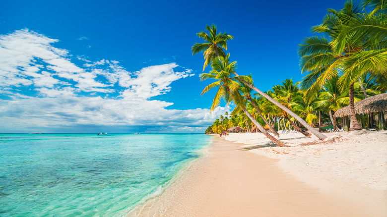 Caribbean beach in the sun