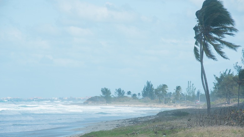 Hurricane in the Caribbean