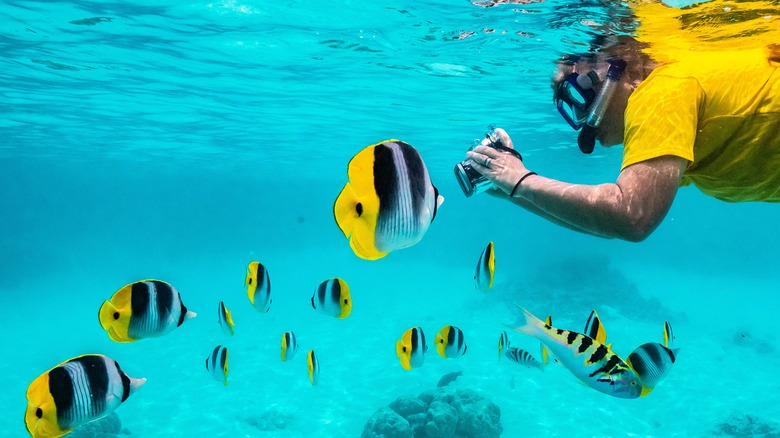 Man filming snorkeling excursion
