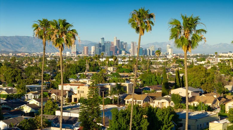 Aerial photograph of the Jefferson Park neighborhood in Los Angeles, California, with downtown in the background