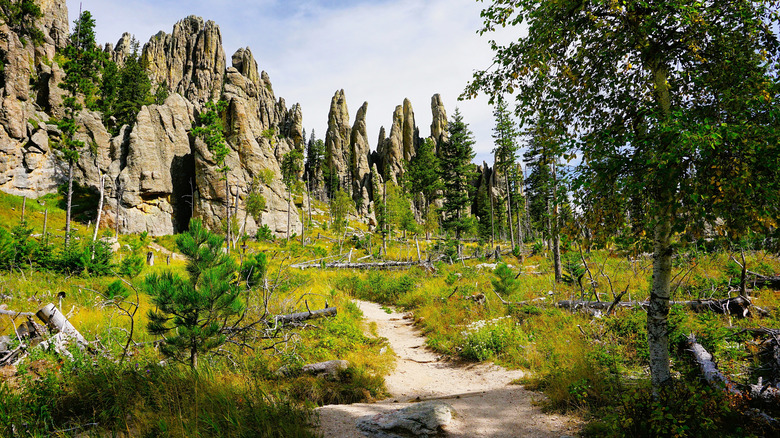 Cathedral SPires trail at Custer State Park, Black Hills National Forest, South Dakota