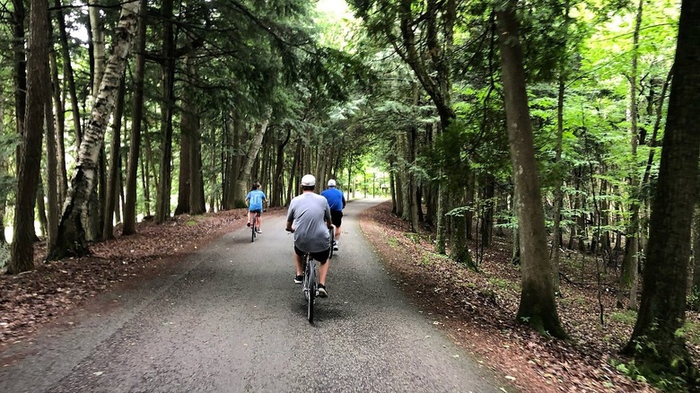Three people bike along a narrow paved road in woods at Peninsula State Park, Wisconsin