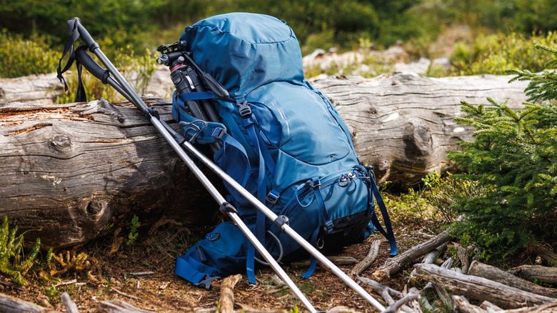 Backpack with tripod and hiking pole