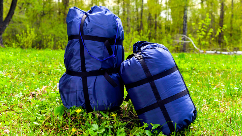 blue sleeping bags in the grass