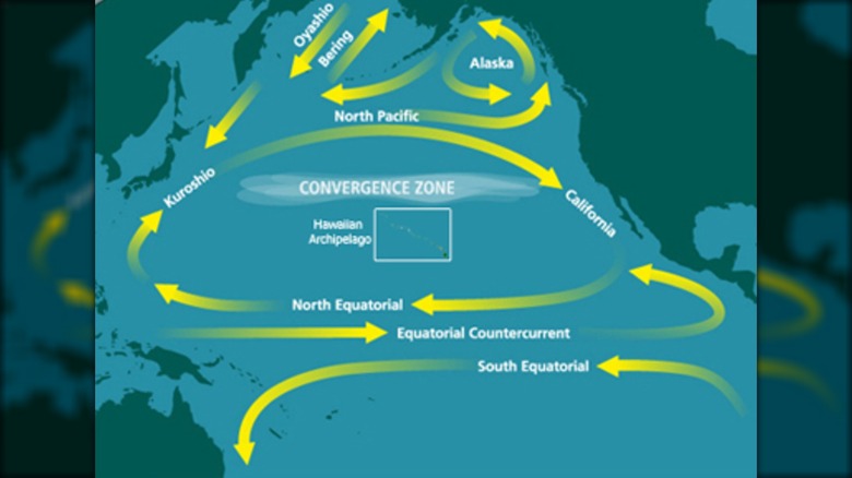 A map of the Great Pacific Garbage Patch