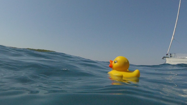 A rubber ducky bath toy floating in the sea