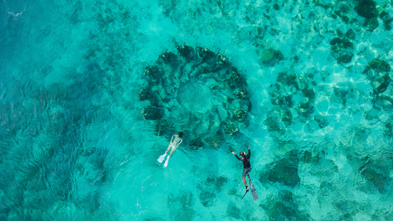 Snorkelers near Gili Meno Island