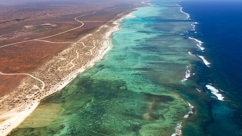 Aerial view of Ningaloo Reef