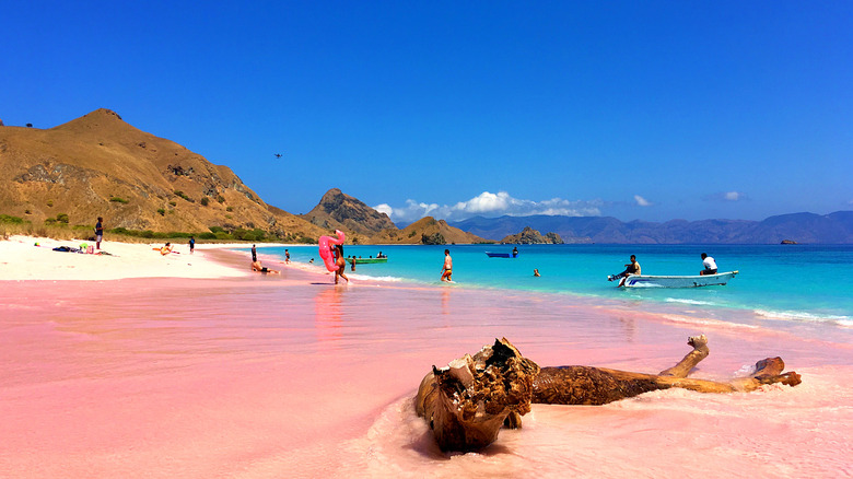 Pink Beach on Komodo Island