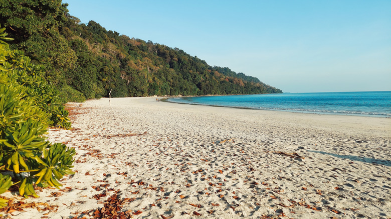 Sweep of India's Radhanagar Beach