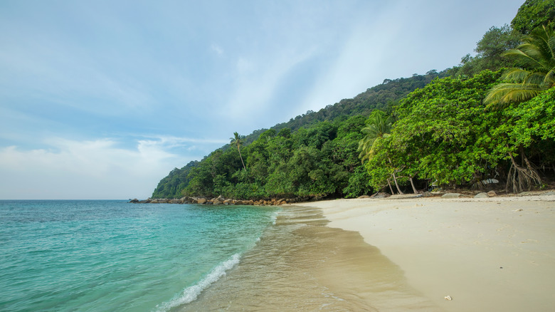 Turtle Beach, Perhentian Islands